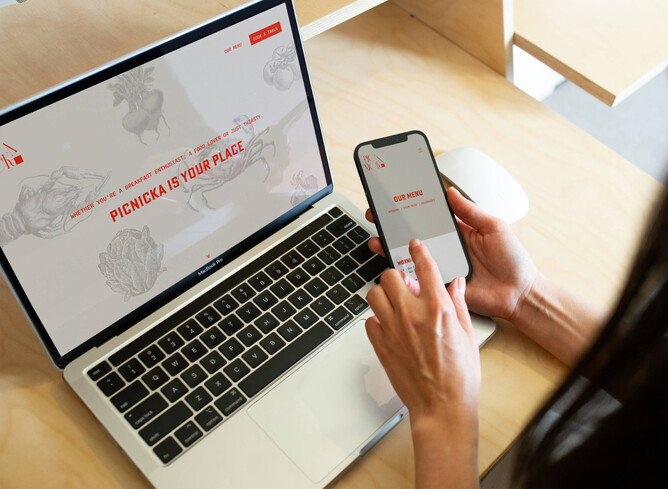 Picture of Minja's winning Rocketspark site of the month: Picnicka