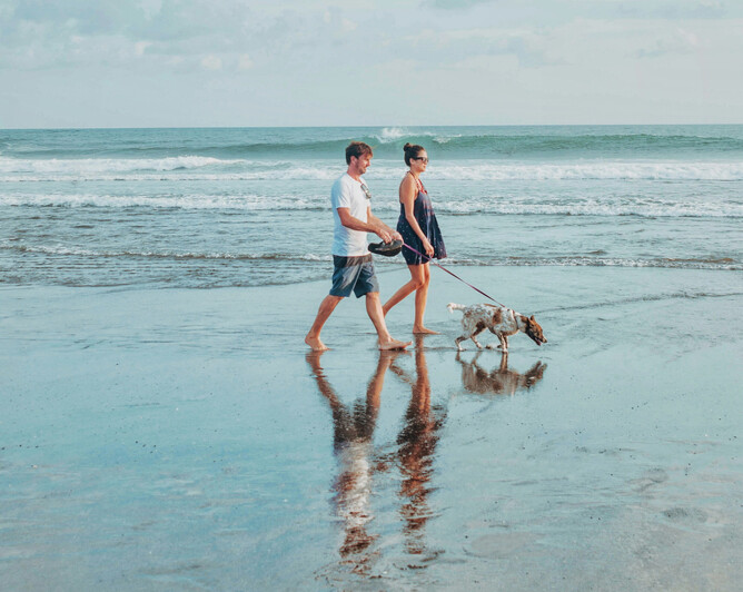 Photo of a couple people walking their dog on the beach